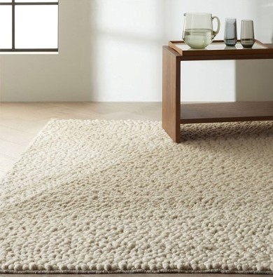 Rug in Living Room